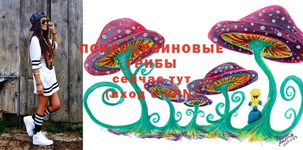 соль ск Вязьма