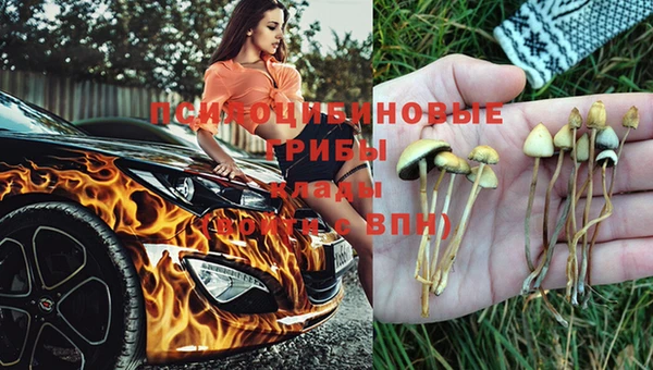 соль ск Вязьма